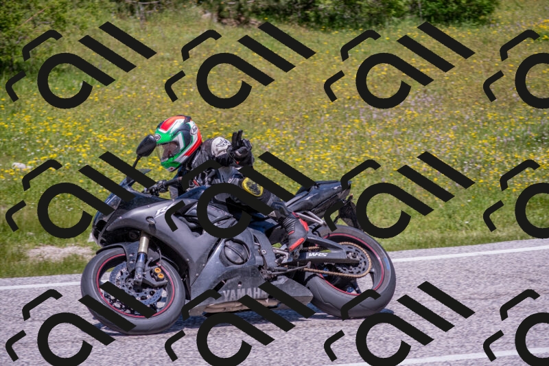 202506021235-DSC_9102_c4_