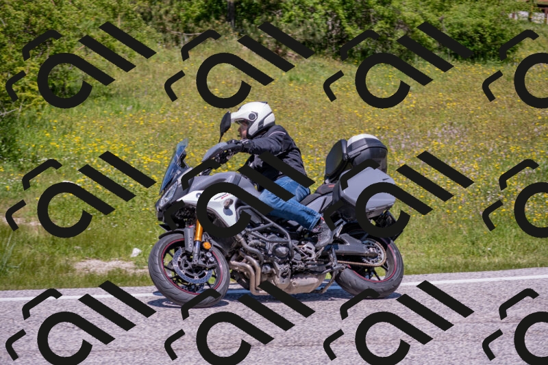 202506021236-DSC_9111_c4_