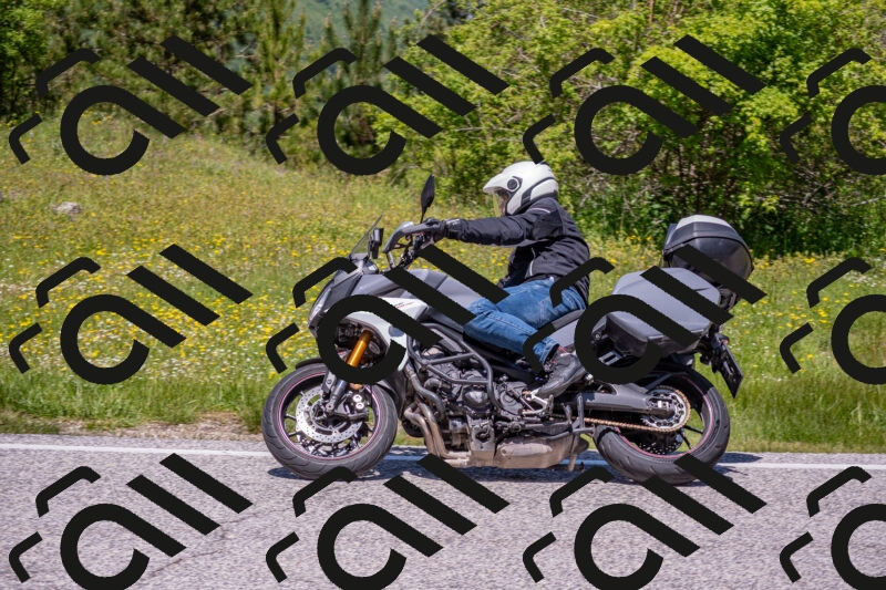 202506021236-DSC_9112_c4_