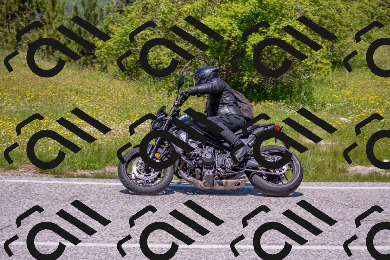 202506021236-DSC_9114_c4_