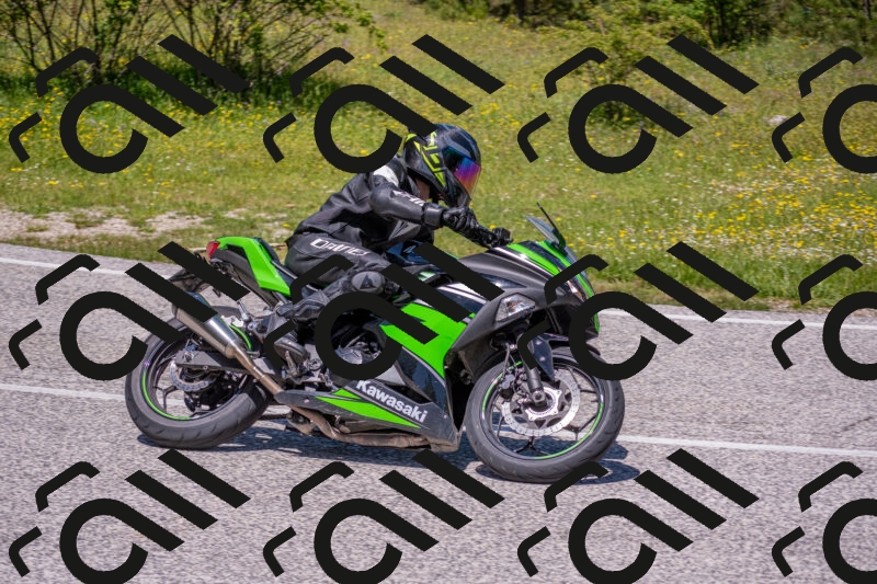 202506021236-DSC_9117_c4_