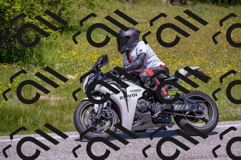 202506021236-DSC_9119_c4_