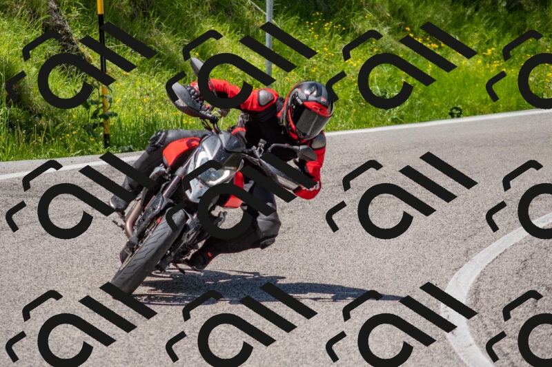 202506021238-DSC_9130_c4_