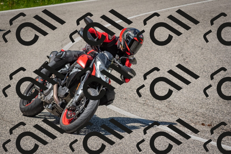 202506021238-DSC_9131_c4_