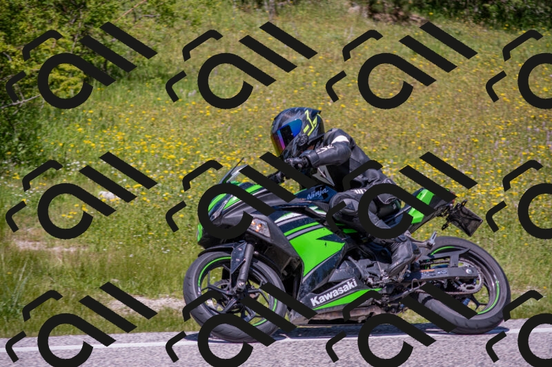 202506021238-DSC_9135_c4_