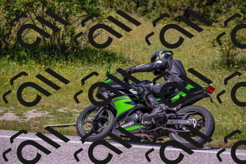 202506021238-DSC_9136_c4_