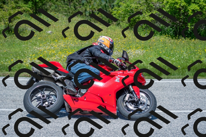 202506021238-DSC_9139_c4_