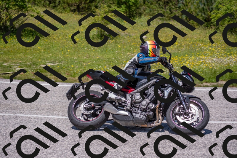 202506021239-DSC_9141_c4_