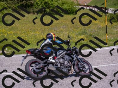 202506021239-DSC_9142_c4_