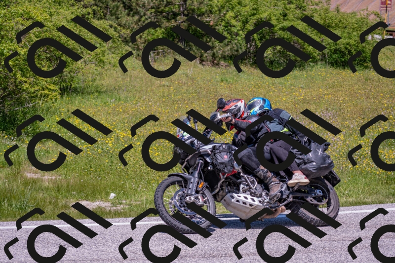 202506021239-DSC_9144_c4_