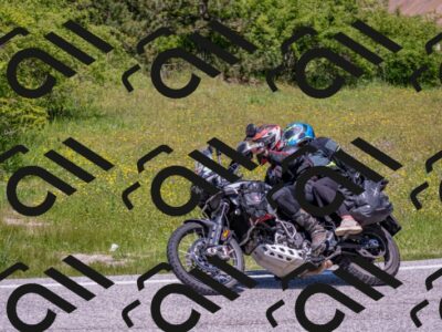 202506021239-DSC_9144_c4_