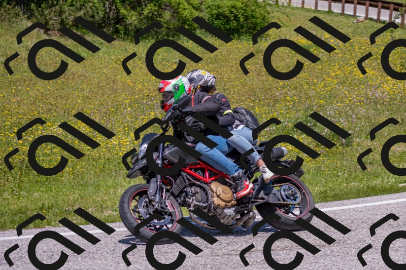 202506021239-DSC_9145_c4_