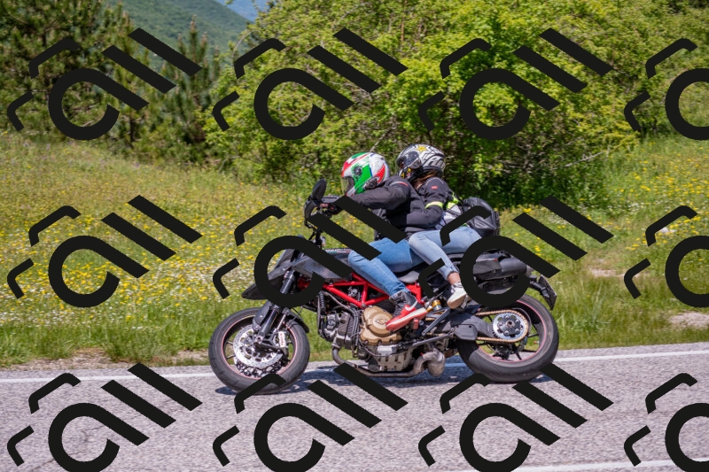 202506021239-DSC_9146_c4_