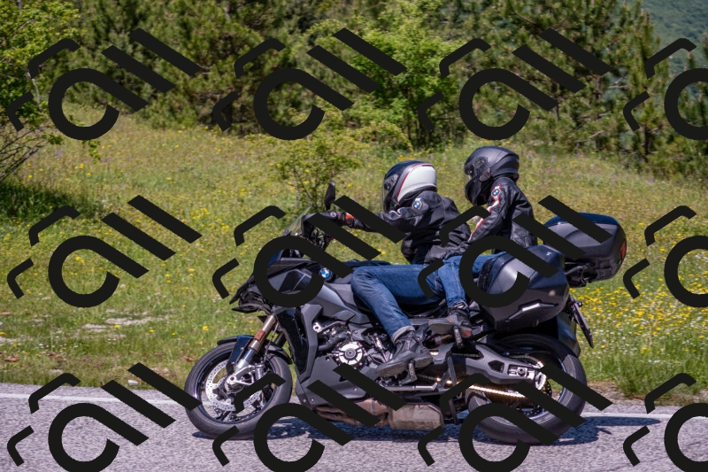 202506021239-DSC_9153_c4_