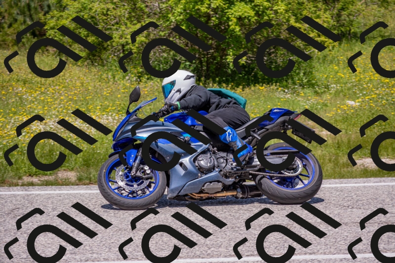 202506021239-DSC_9156_c4_