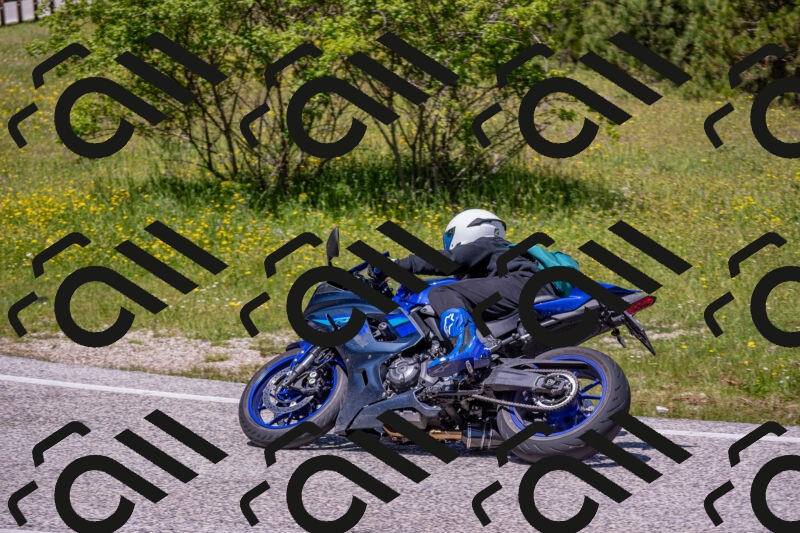 202506021239-DSC_9157_c4_