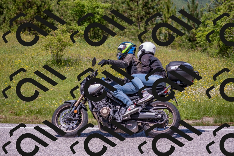 202506021240-DSC_9160_c4_