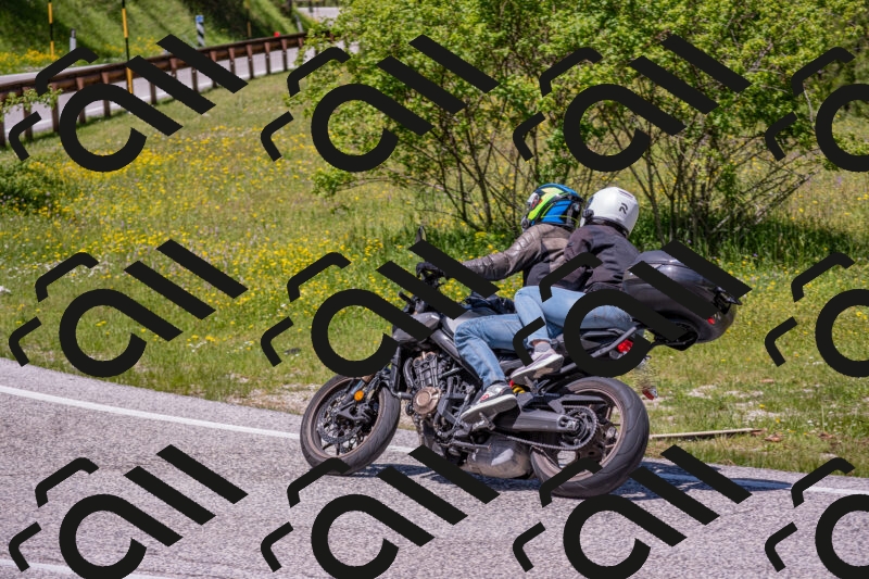 202506021240-DSC_9161_c4_