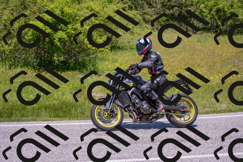 202506021241-DSC_9164_c4_