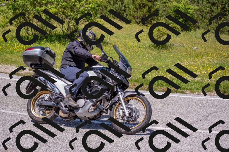 202506021241-DSC_9169_c4_