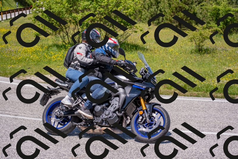 202506021241-DSC_9177_c4_