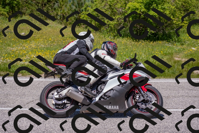 202506021241-DSC_9181_c4_