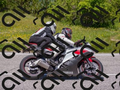 202506021241-DSC_9181_c4_