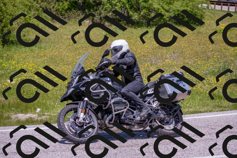 202506021242-DSC_9184_c4_