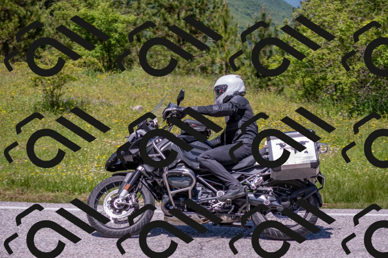 202506021242-DSC_9185_c4_