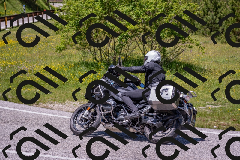 202506021242-DSC_9186_c4_