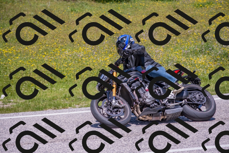 202506021243-DSC_9189_c4_