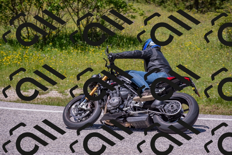 202506021243-DSC_9190_c4_