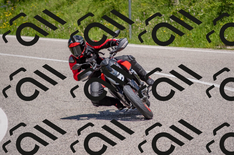 202506021243-DSC_9191_c4_