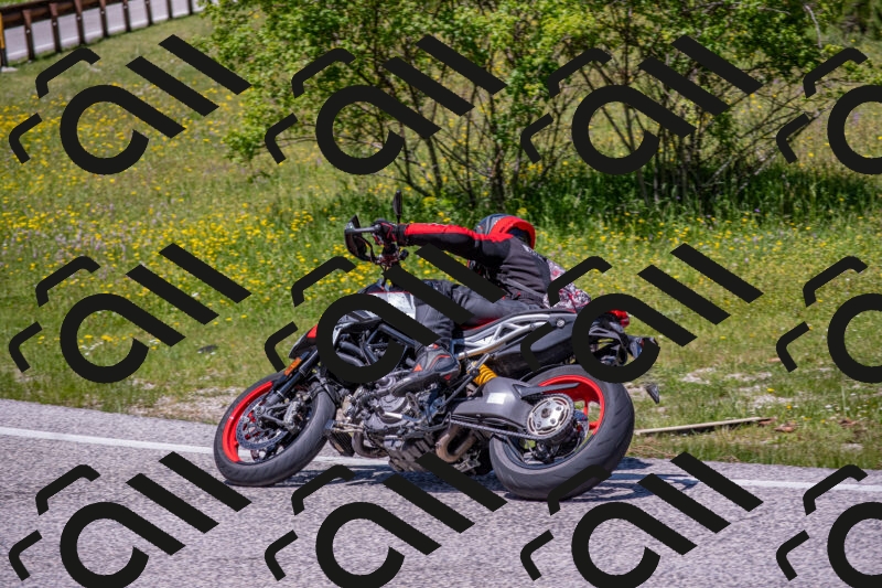 202506021243-DSC_9194_c4_