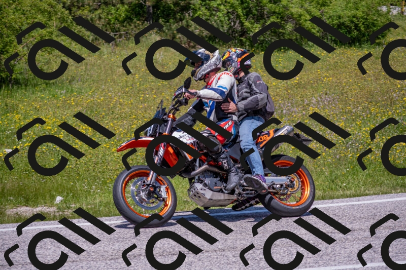 202506021243-DSC_9196_c4_