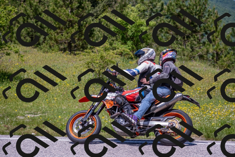 202506021243-DSC_9197_c4_