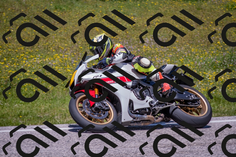 202506021244-DSC_9201_c4_