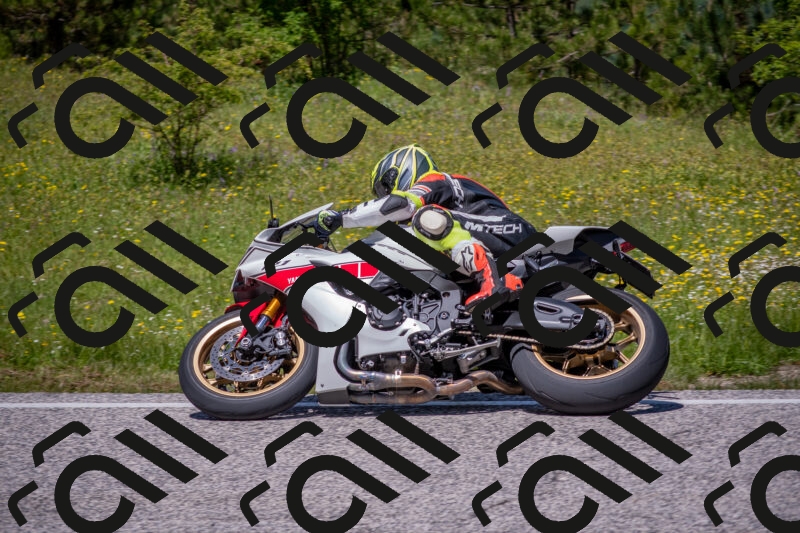 202506021244-DSC_9202_c4_