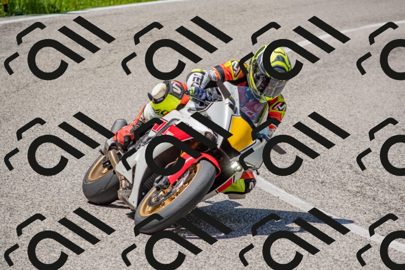 202506021244-DSC_9204_c4_