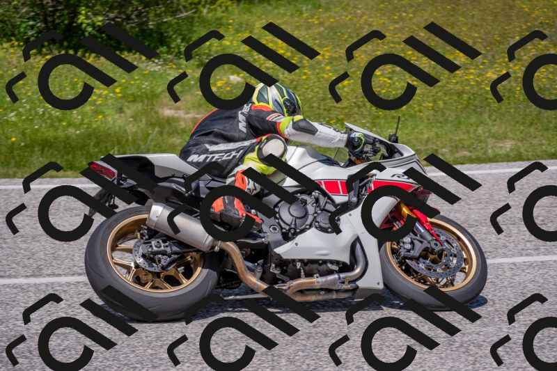 202506021244-DSC_9206_c4_