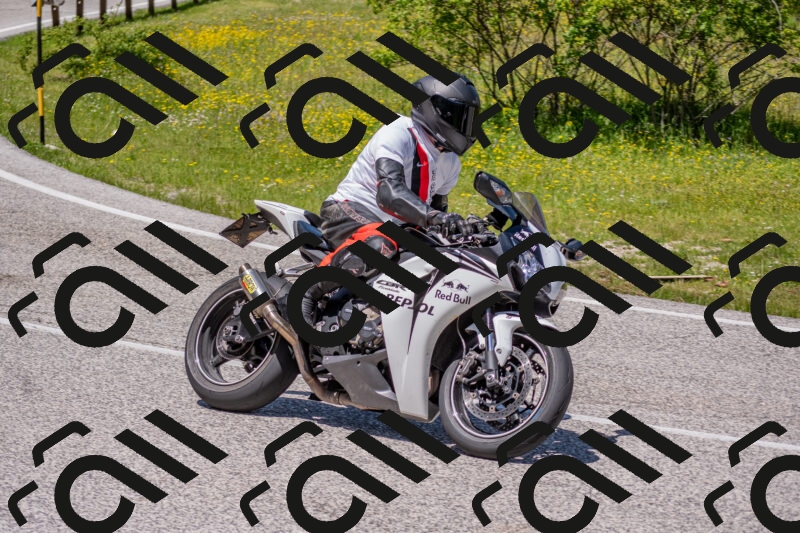 202506021245-DSC_9208_c4_