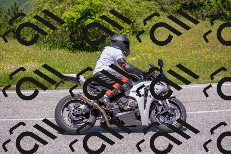 202506021245-DSC_9209_c4_