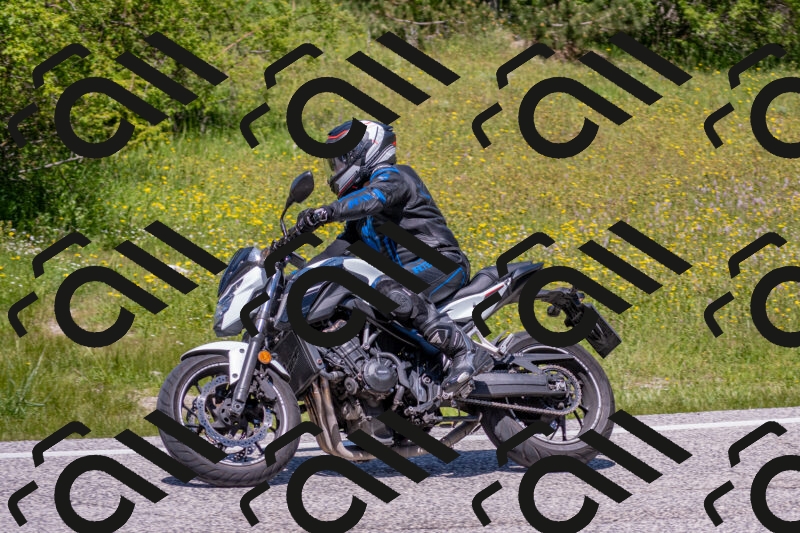 202506021245-DSC_9212_c4_