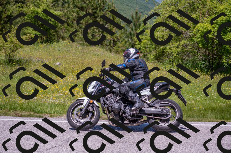 202506021245-DSC_9213_c4_