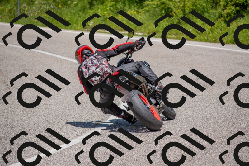 202506021245-DSC_9216_c4_