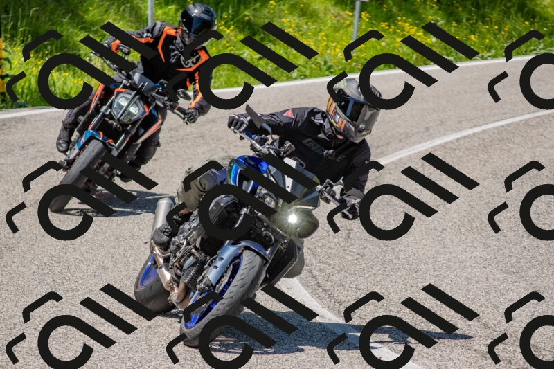 202506021246-DSC_9217_c4_