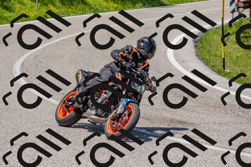 202506021246-DSC_9219_c4_