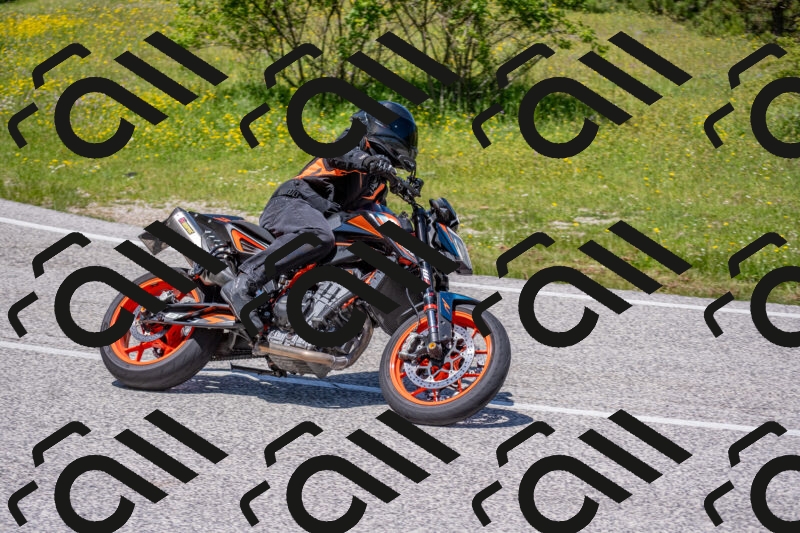 202506021246-DSC_9220_c4_