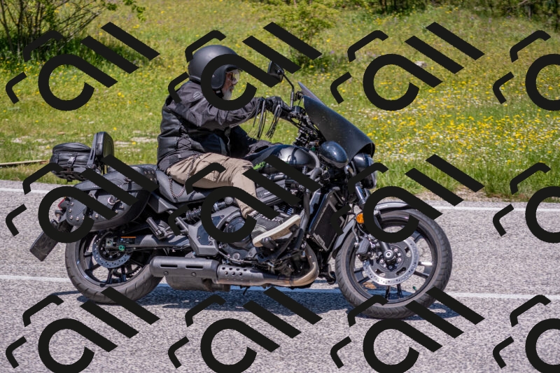 202506021246-DSC_9225_c4_