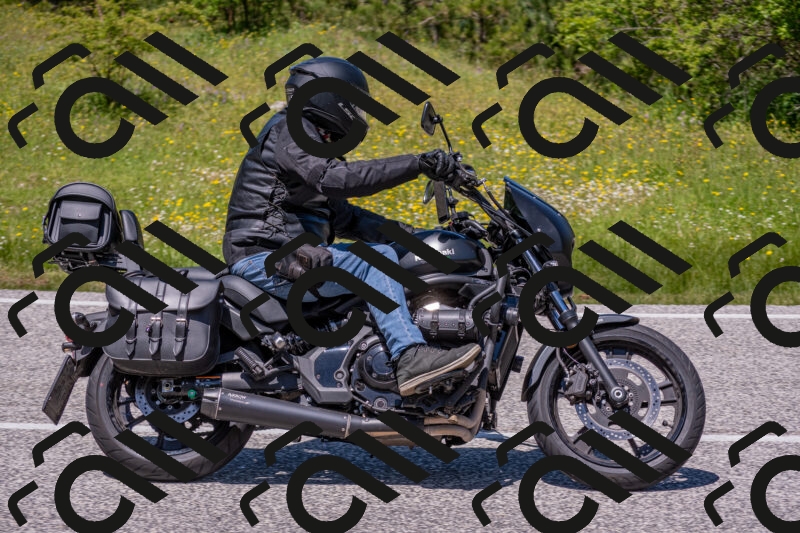 202506021246-DSC_9227_c4_